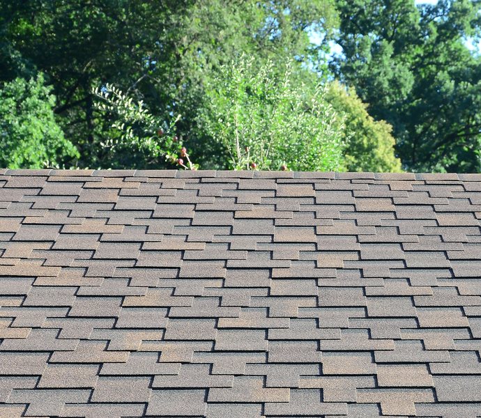 Hail damaged asphalt shingles on a Highlands Ranch roof