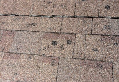 Hail bruised asphalt shingles on a Highlands Ranch roof